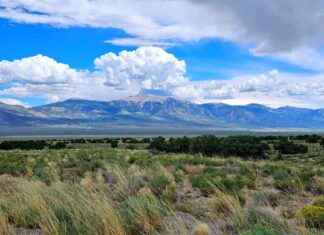 BLM’s Western Solar Plan Risks Beloved Nevada Landscapes news-01102024-212959