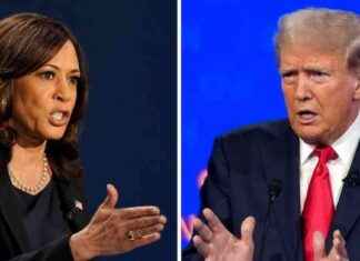 Nevada Election Results Delayed by Long Poll Lines: Update news-06112024-104620