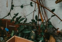 Las Vegas Country Music Residencies Closed: What Happened Next?