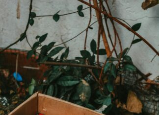 Las Vegas Country Music Residencies Closed: What Happened Next?