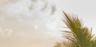 Hilton Grand Vacations Club Paradise Las Vegas: Discover Hidden Gems!