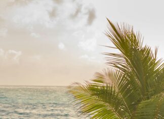 Hilton Grand Vacations Club Paradise Las Vegas: Discover Hidden Gems!