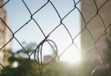 Green Day Music Banned In Las Vegas: What Happened Behind The Scenes?