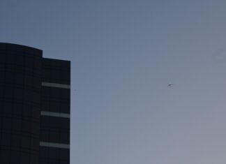 The Buffet At Wynn Las Vegas: Discover Culinary Delights Today!