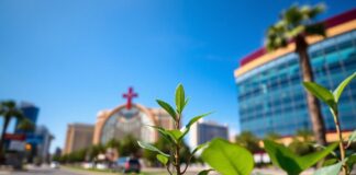 Las Vegas Embraces Sustainability: A Green Wave in the City of Lights Las Vegas Welcomes Sustainability: A Green Trend in the City of Lights