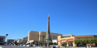 The Intersection of Local Politics and Community Development in Las Vegas The Intersection of Local Politics and Community Development in Las Vegas